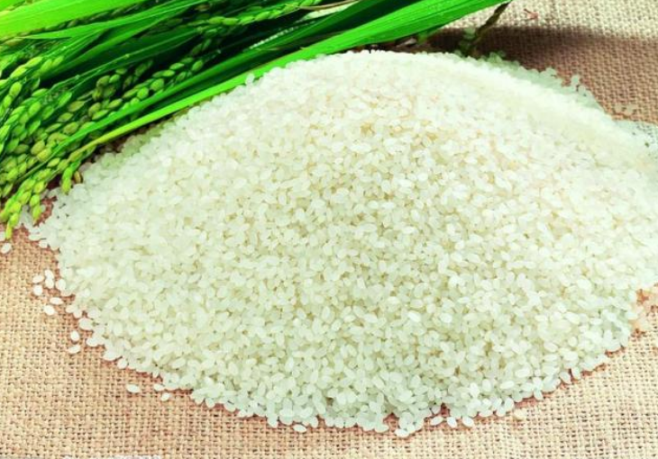 买大米，选籼米好还是粳米？行家推荐4款优质大米，家里人都爱吃