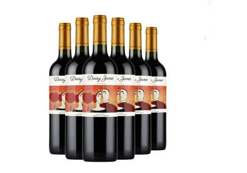 智利中央山谷产区魔术师系列经典混酿干红葡萄酒750ml6瓶整箱价格多少钱？