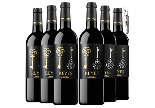 西班牙里奥哈法定产区DO级路易斯干红葡萄酒750mlx2瓶礼盒装价格多少钱？