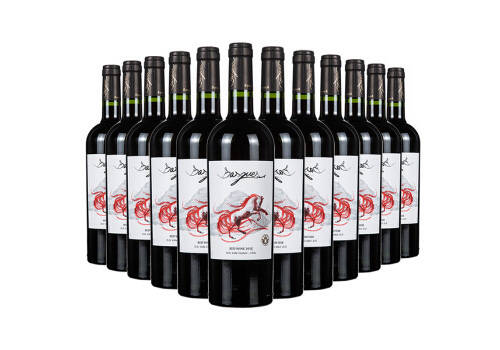智利伊桐经典脚印赤霞珠干红葡萄酒750mlx2瓶礼盒装价格多少钱？