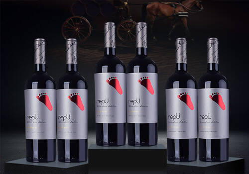 智利17元素陈酿级赤霞珠干红葡萄酒187ml一瓶价格多少钱？