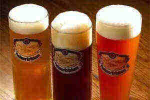 啤酒的种类有哪些_啤酒的种类及区别