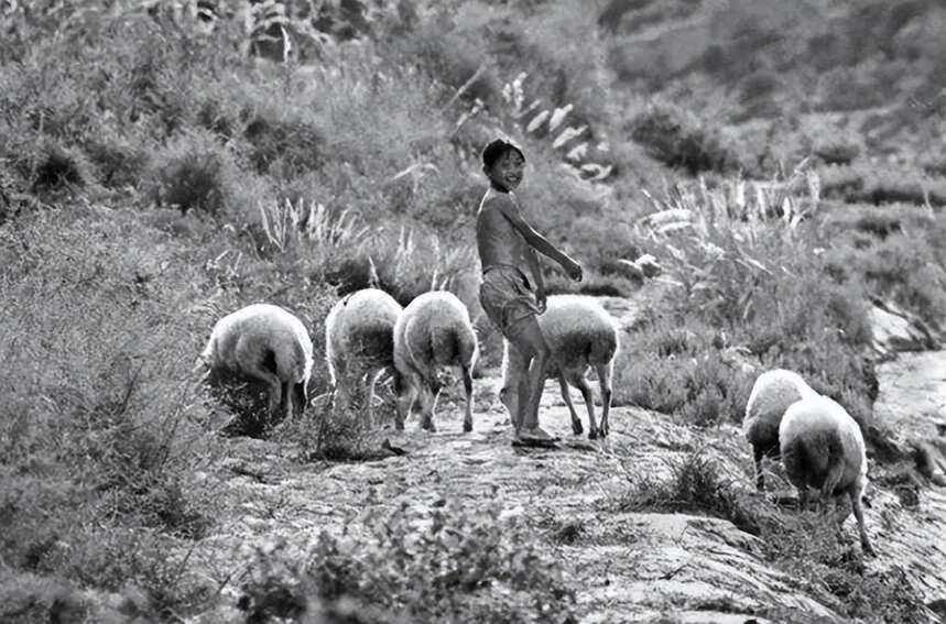 1974年，放羊娃捡到铜器卖废品站，却意外牵出战国古墓群