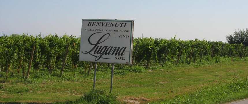 意大利小众白葡萄酒：威尼托Lugana DOC