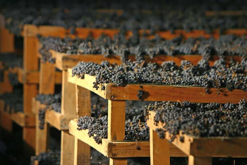 意大利翁布里亚的优质红葡萄酒