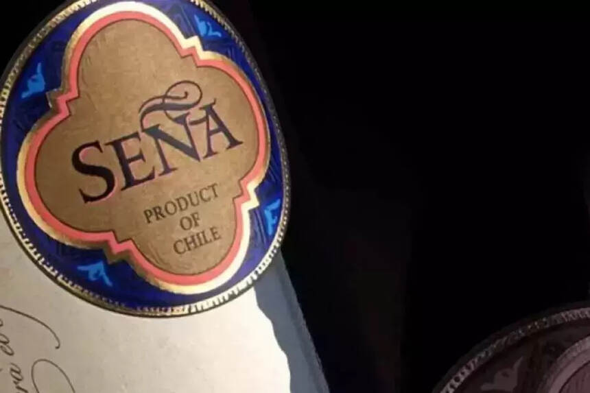 智利红酒品牌排行（智利红酒的特点和卖点）
