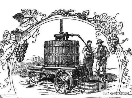 酒的起源与发展历史（酒的起源故事）