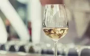 红葡萄酒和白葡萄酒有什么区别（白葡萄酒和红葡萄酒区别）