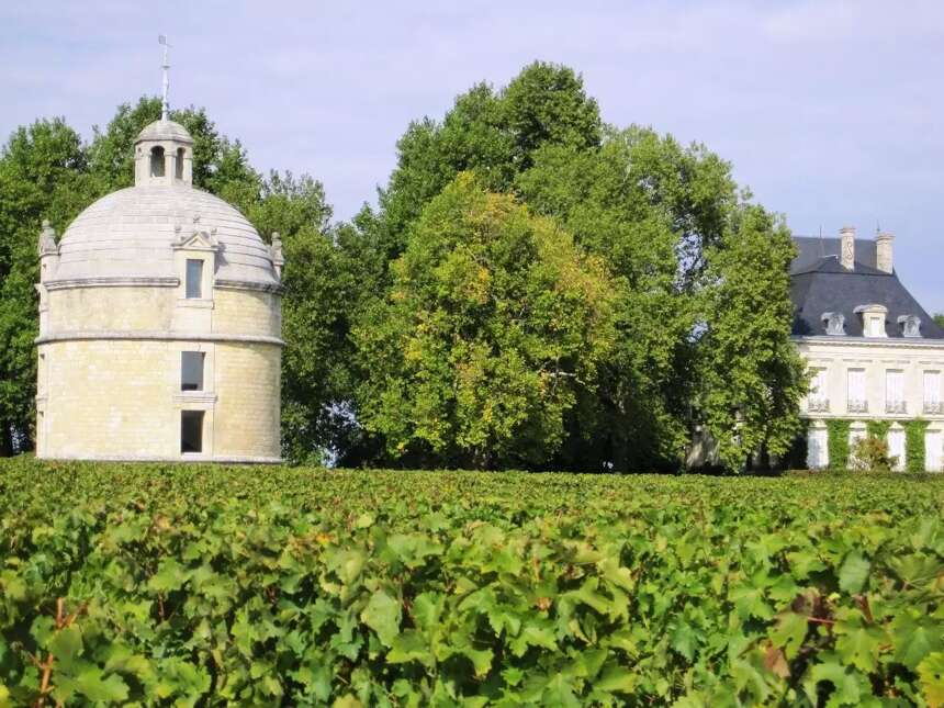 法国酒庄：法国波尔多白马酒庄名称的来历