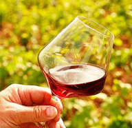 葡萄酒健康喝法