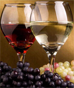 为什么说葡萄酒的质量先天于葡萄?