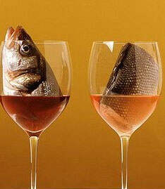 白葡萄酒与海鱼的相遇