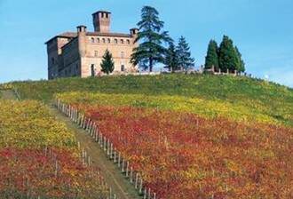 意大利:富有个性的葡萄酒生产国