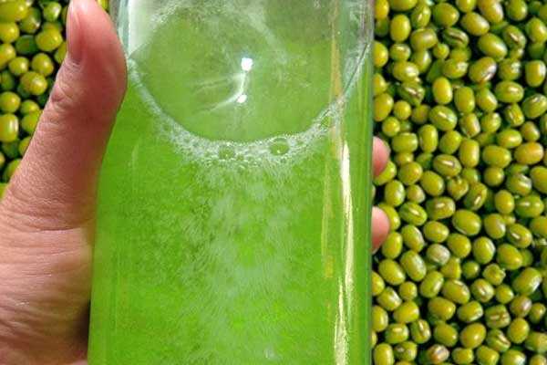 深入为您分析绿豆酒的制作方法与营养价值