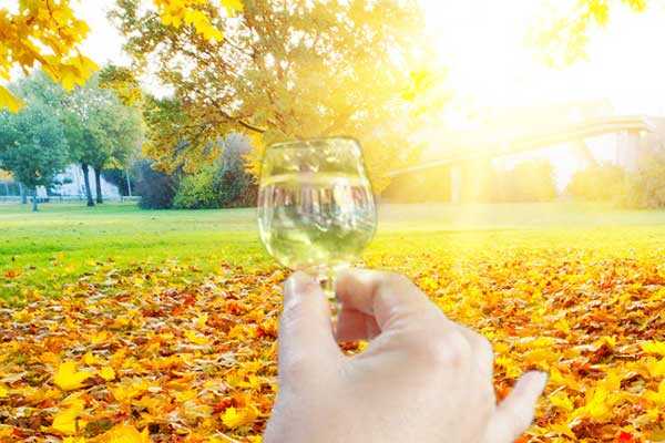 秋季喝酒时应该注意哪些事项？
