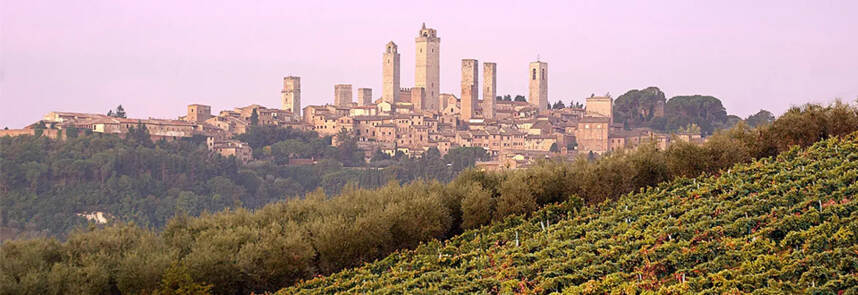 优雅、脆爽！速览意大利中部的经典白葡萄酒