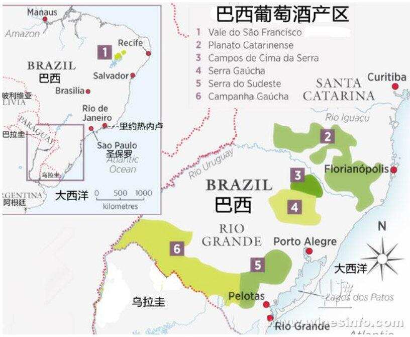 探寻巴西葡萄酒，发现南半球的魅力