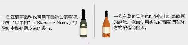解惑丨同为葡萄酒，为何会有红白之分？