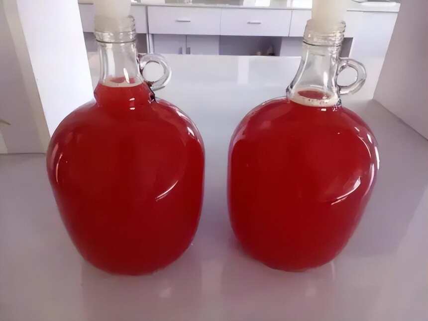 发酵型山楂酒的一种酿造方法