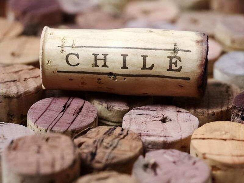 盘点智利最贵的酒，比起拉菲康帝，性价比太高了