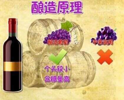 自酿葡萄酒含糖量居然比购买的葡萄酒含糖量高达5倍