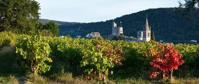 法国仅次于波尔多的酿酒区：罗纳河谷葡萄酒知识入门~