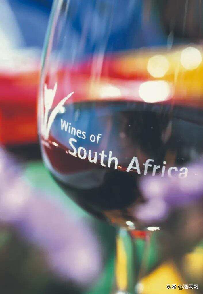 为什么现在越来越流行南非葡萄酒？