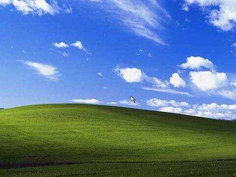 Windows XP 经典桌面壁纸，拍摄地竟是葡萄酒之乡