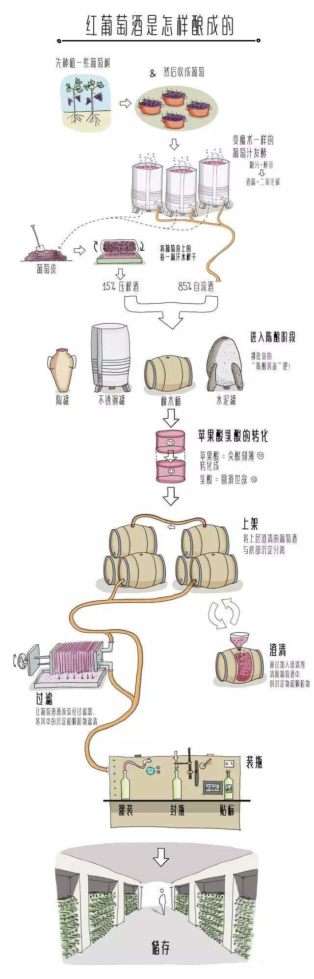葡萄酒是怎样酿成的？一张图看懂全流程~