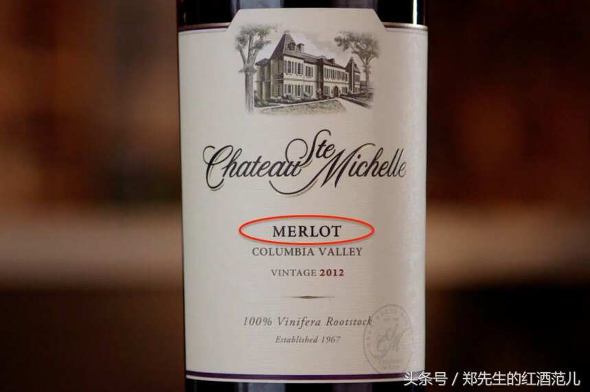 梅洛（Merlot）红葡萄酒，适合搭配什么菜肴？
