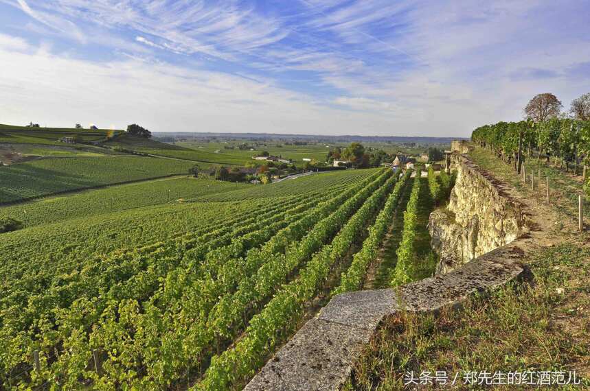 想读懂法国红酒酒标，先从“Château”“Domaine”开始！