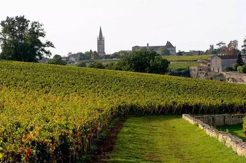 法国圣埃美隆产区去年卖了5个酒庄