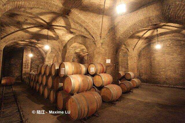 智利葡萄酒产区照片