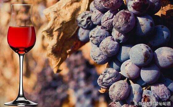自酿葡萄酒新境界：利用晚收葡萄酿制甜葡萄酒的方法