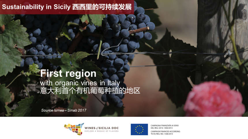 意大利西西里岛的魅力，尽在6.8-6.10深圳Wine to Asia 2021