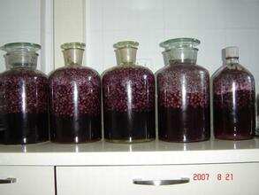 家庭自酿葡萄酒过程：发酵启动的温度控制及现象