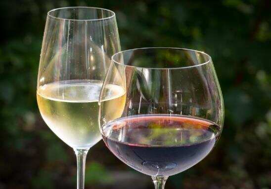 红酒杯和白葡萄酒杯的区别
