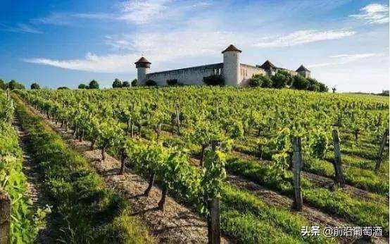 被遗忘的法国侏罗与萨瓦(JURA AND SAVOIE)葡萄酒产区