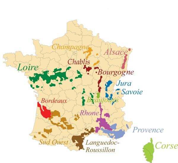 法国文化之红酒篇：Culture Française - Vins de la France