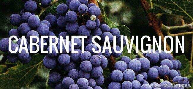 红酒酒标写着“Cabernet Sauvignon”的，是什么酒？