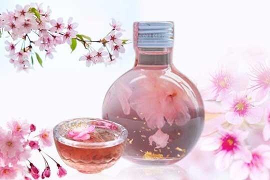 樱花酒是怎么制作的？