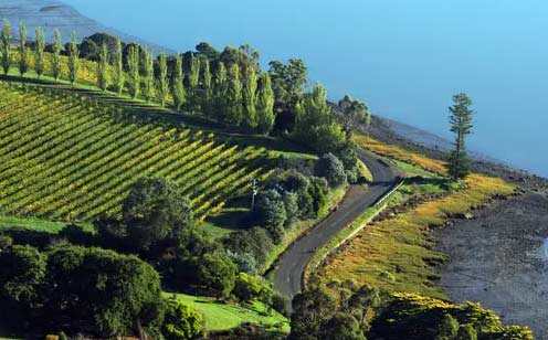 塔斯马尼亚州Tasmania葡萄酒产区介绍