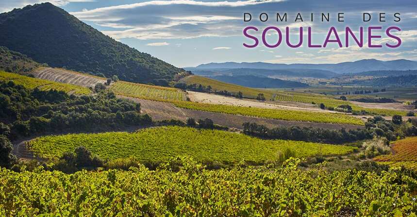 苏兰酒庄 Domaine des Soulanes