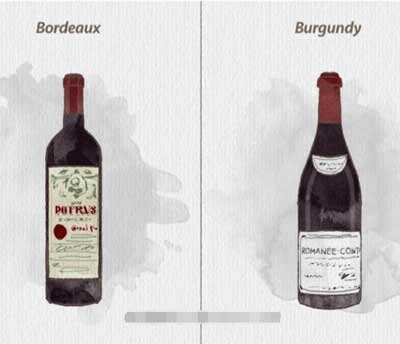 法国勃艮第和波尔多区别，两大经典产区主要葡萄品种不同