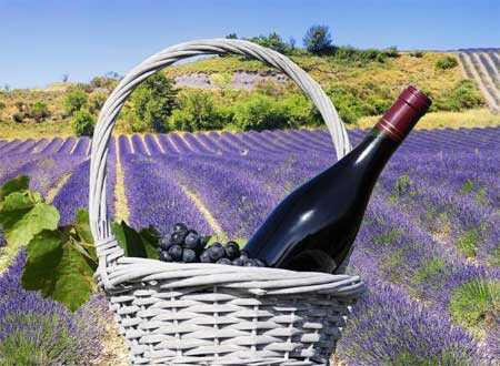 法国葡萄酒十大产区