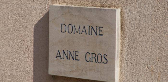 安格奥斯酒庄 Domaine Anne Gros