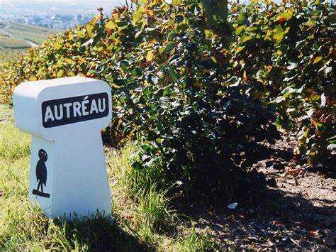奥特罗香槟 Autreau de Champillon