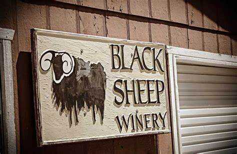 黑羊酒庄 Black Sheep Winery