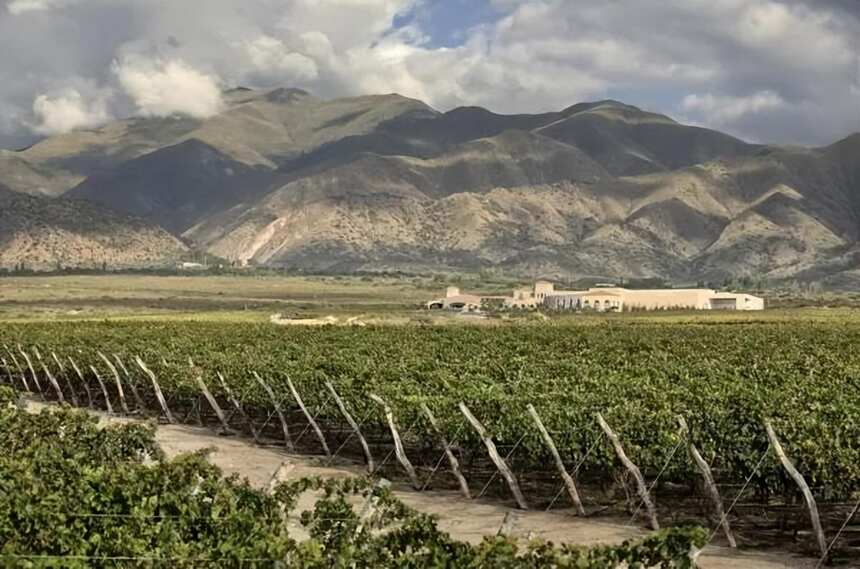 「全面解析」阿根廷是个怎样的葡萄酒国家？