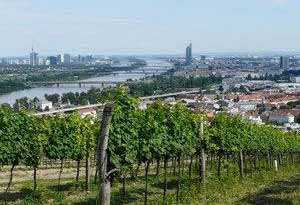 奥地利葡萄酒产区